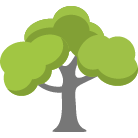 Worcester Tree Trimming
