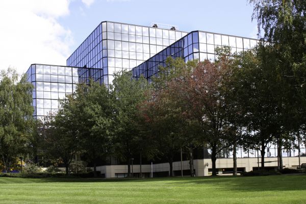 Commercial Tree Trimming in Worcester